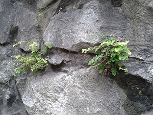 INFANCIA – Entrevista Maritxu&nbsp;Loyola