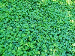 ECONOMÍA – Entrevista a Nekane&nbsp;Jurado