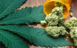 Sexo, alcohol y&nbsp;cannabis